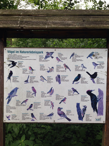 Vögel Im Naturerlebnispark