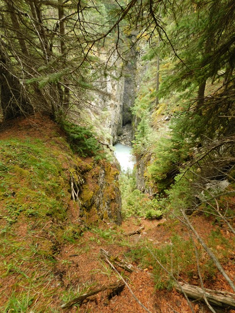 C110_CAN AL Banff NP Weeping Wall_2018-08-14_DSCN2434