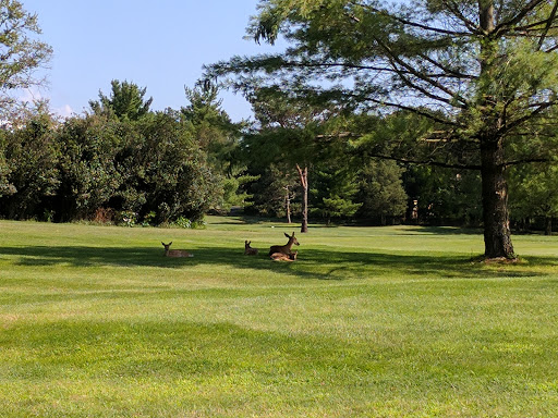 Golf Course «Rutgers Golf Course», reviews and photos, 777 Hoes Ln W, Piscataway Township, NJ 08854, USA