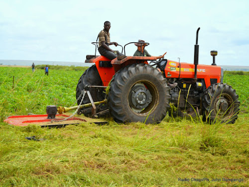 RDC : les agents du parc de Bukangalonzo réclament 15 mois d’arriérés de salaire