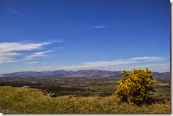 Campiña de Tipperary