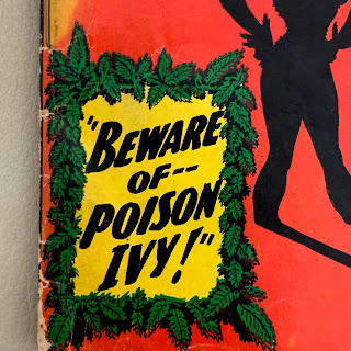 DC Batman Intro of Poison Ivy