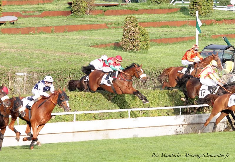 Photos Auteuil 26-09-2015 - Page 2 Balle%252520rivi%2525C3%2525A8re2