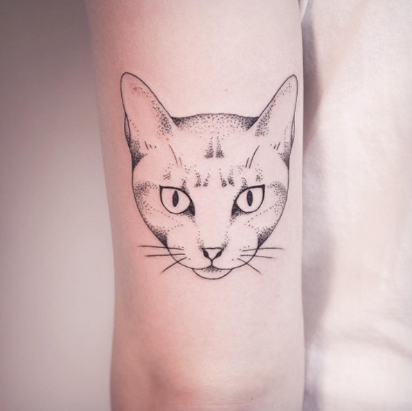 Este gato Este gato
