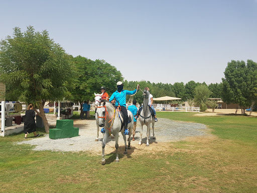 Al Jiyad Stables, Al Qudra Rd - Dubai - United Arab Emirates, Tourist Attraction, state Dubai