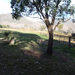 Looking across campground