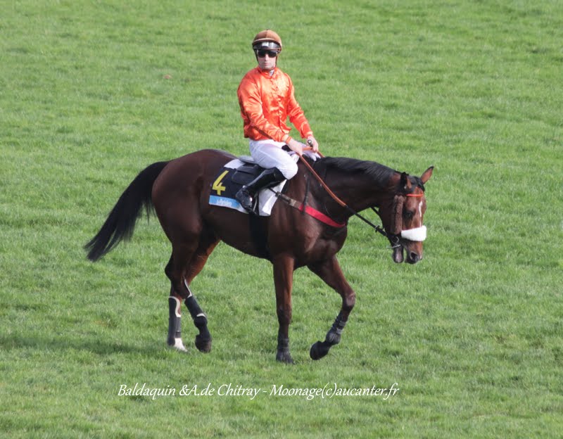 Photos Auteuil 8-11-2015 (48h de l'obstacle) IMG_6776