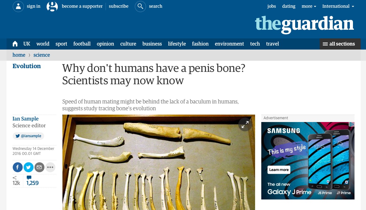 The Guardian Penis