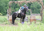 Aurora LaBella Luna Dutch Hollow Breeding Moriesian Sport Horses 