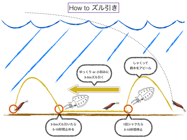 象と散歩 陸っぱりから ズル引き エギングでコウイカを狙う