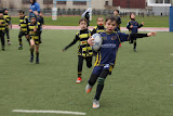 U8 (2008) - Courbevoie vs Suresnes et RCP15 - 30 jan. 2016