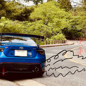 BRZ ZC6