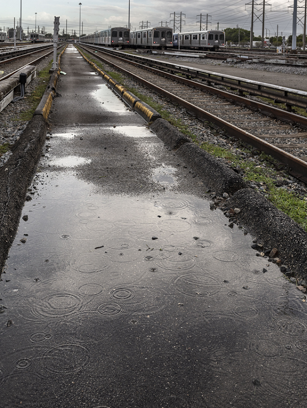 Beneath this patch of ground is Miami-Dade’s second-most polluted Superfund site, which was contaminated with arsenic, mercury, and cyanide. The site was turned into a maintenance yard for the county’s Metrorail system. Photo: Anastasia Samoylova / Bloomberg Businessweek