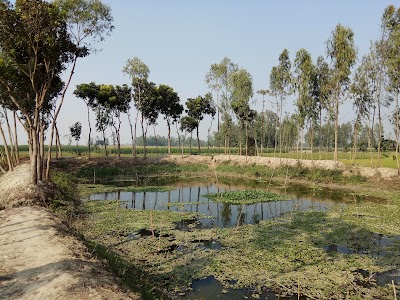 Photos of Munshi Bari Futer Park