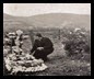 Galicia, historia de un exterminio