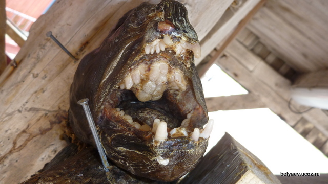 Норвегия-2011. Охотники за солнцем. Отчет закончен.