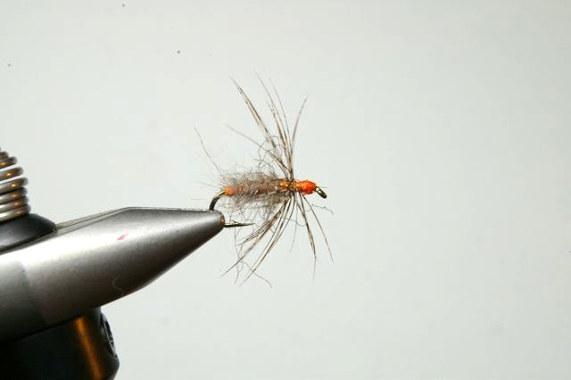 October Caddis question  Pennsylvania Fly Fishing