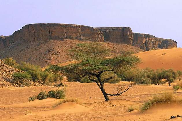 Adar Mountain Desert Landscape