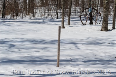 four inche os snow March 5