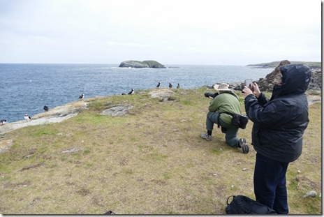 nl_bonavista_elliston_d1_32