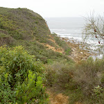 Bouddi Coastal Walk to Caves Bay (21584)