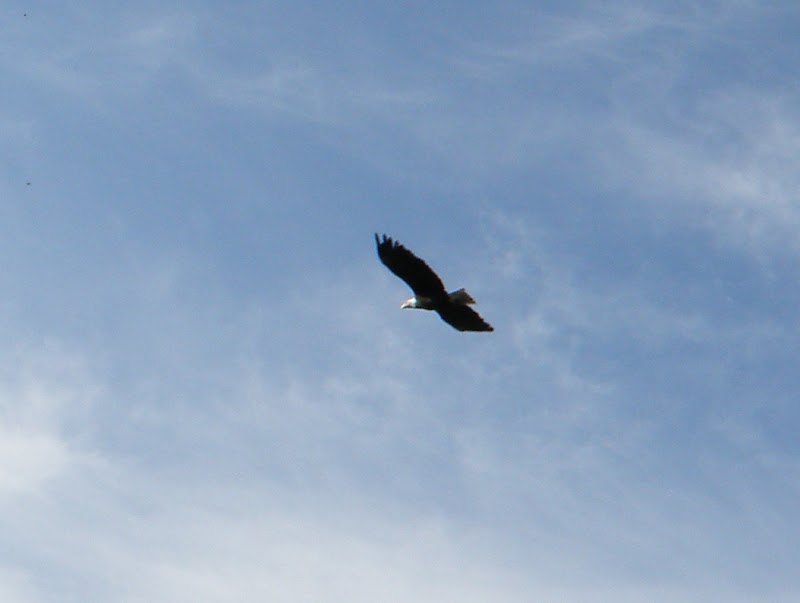 PA206868.JPG