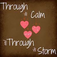 Through the Calm and Through the Storm