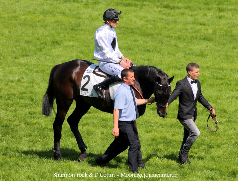 Photos Auteuil 17-05-2015 Journée du Grand Steeple IMG_0166