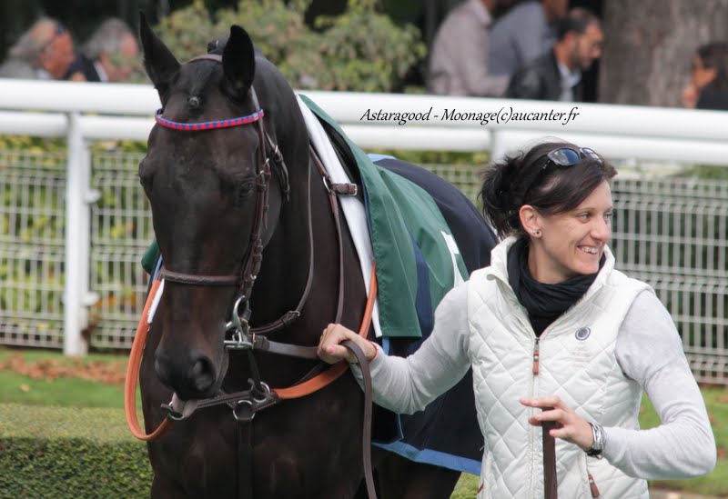 Photos Auteuil 26-09-2015 IMG_3863