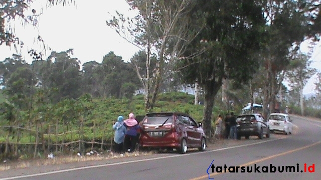 
Rest Area Dadakan Kawasan Perkebunan Teh Cigaru Geopark Ciletuh
