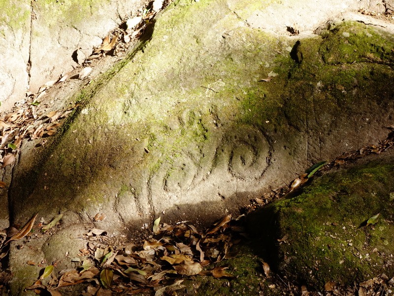 2014_0101-0105 萬山神石、萬山岩雕順訪萬頭蘭山_0735