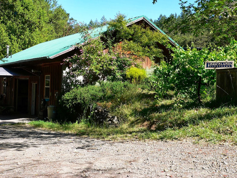 Main image of Briceland Vineyards Winery