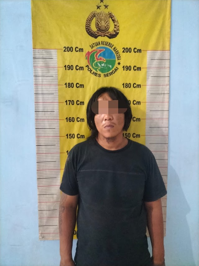 Satnarkoba Polres Sergai Tangkap Utoh Barbutnya 11,93 Gram Sabu 