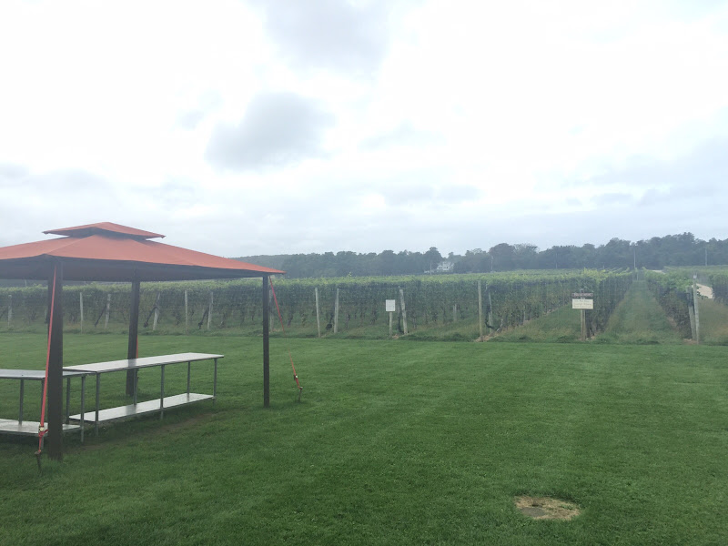 Immagine principale di Channing Daughters Winery