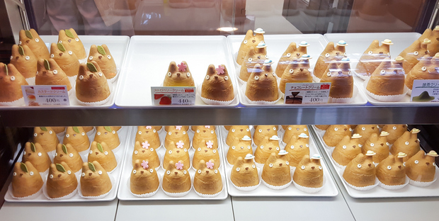 photo of Totoro shaped cream puffs in a display case