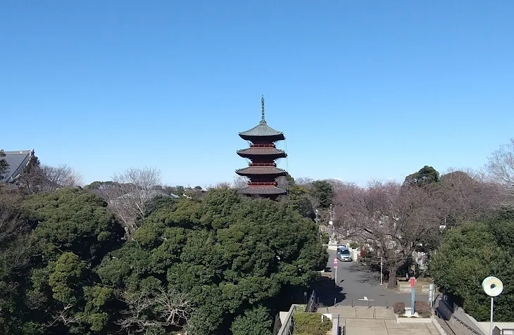 「火の鳥」のメインビジュアル