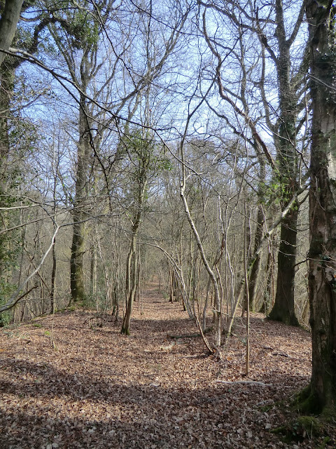 CIMG2055 Old railway embankment near Copyhold Lane