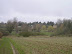 Footpath through to Leiston