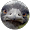 Emotive Emu