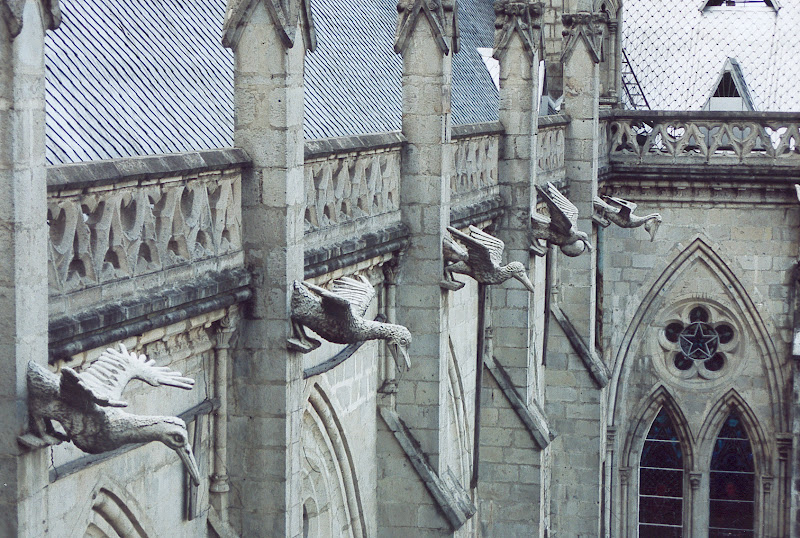 external image Ecuador_gargoyles_quito_cathedral.jpg