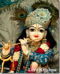 [Lord Krishna]