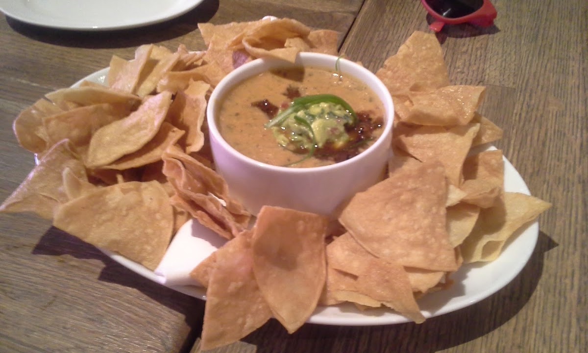 vegan queso and gf chips