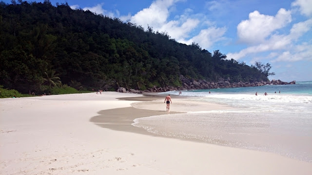 PRASLIN: las tortugas - SEYCHELLES: A DOS PASOS DEL PARAÍSO (8)