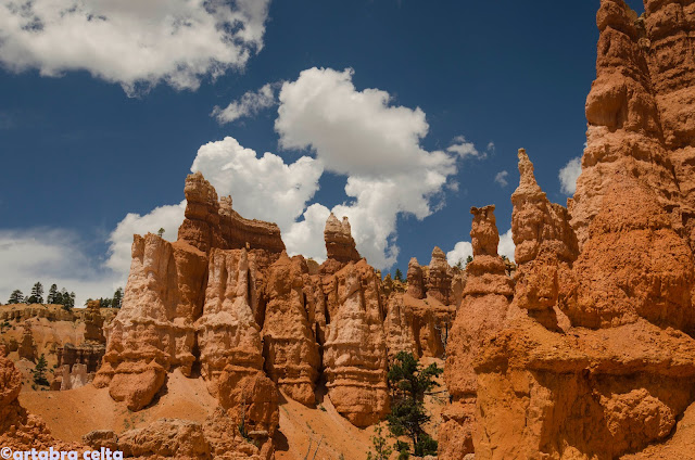 BRYCE CANYON NATIONAL PARK - OESTE DE EEUU 2015. UN MES POR LOS PARQUES NATURALES DE 6 ESTADOS (TERMINADO!!) (5)