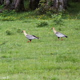 Rumo a Puerto Montt, Chile