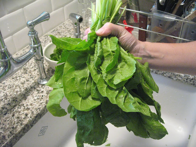 Early Summer Vegetables: Chard, Arugula, Zucchini, Parsley