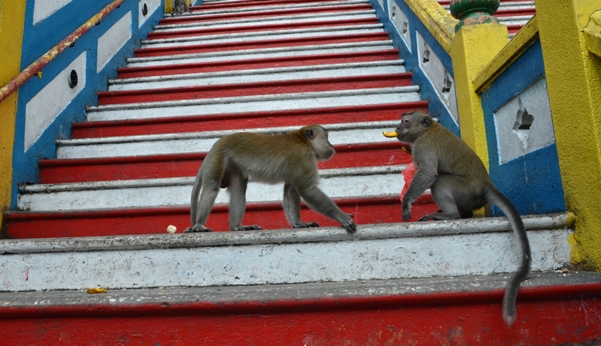 Batu Caves