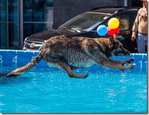 2016.4.16 Dock Dogs Subaru Oshkosh Jake (10)