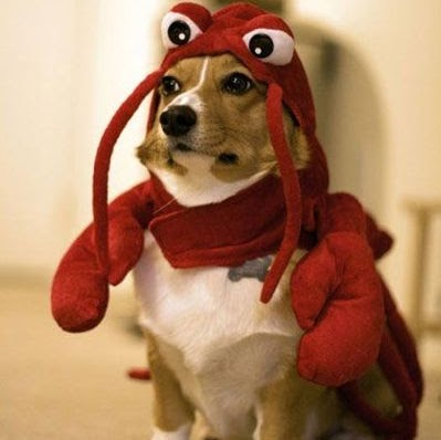 photo.jpg (399×398)