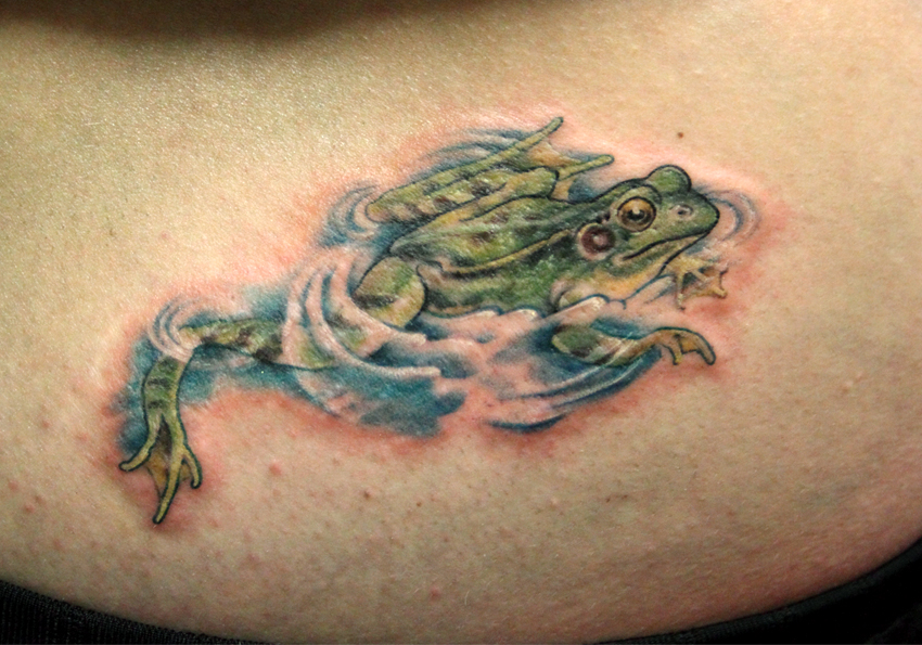 His names Trevor and hes not a frog hes a wizard springfever tat   TikTok